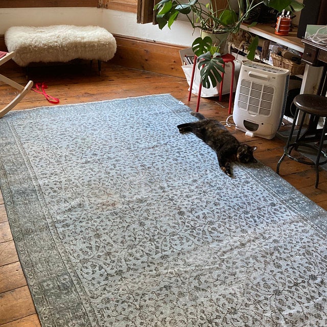 Rich Blues in Persian Rug