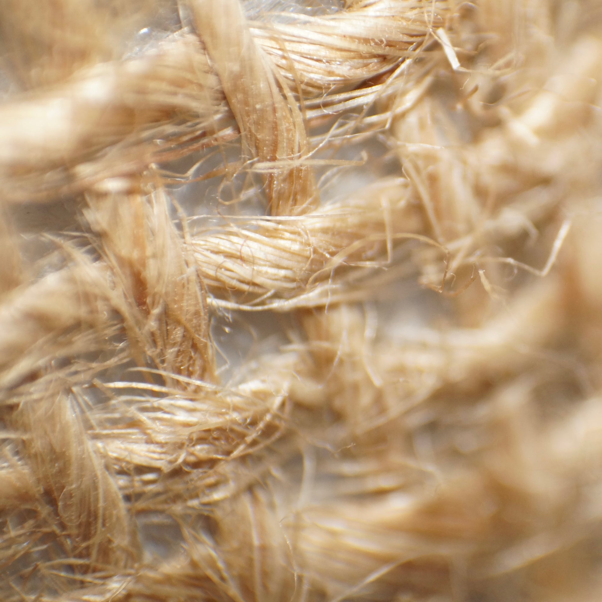 Close-up of Jute Rug Stain Removal