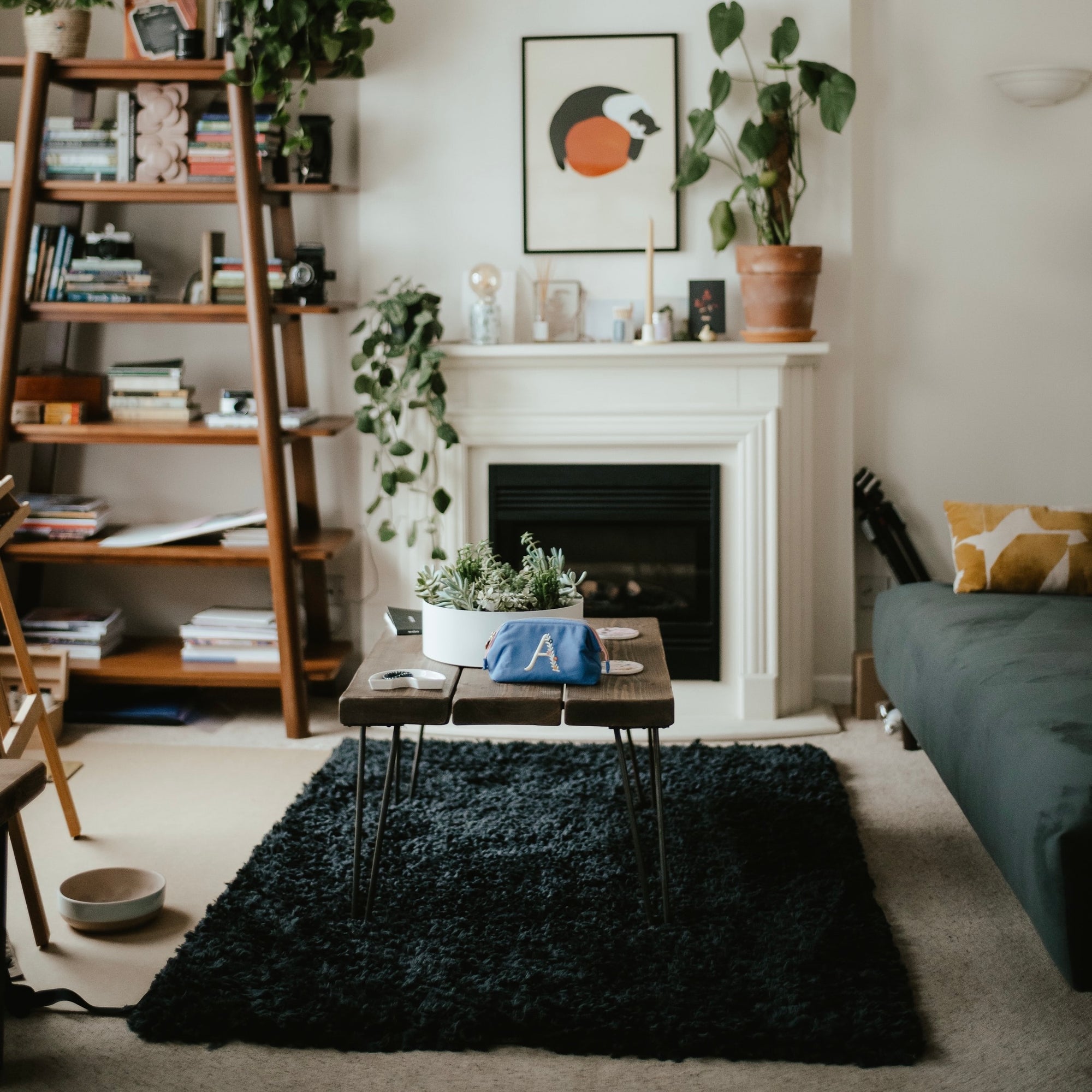 Preparing Cleaning Solution for Shag Rug