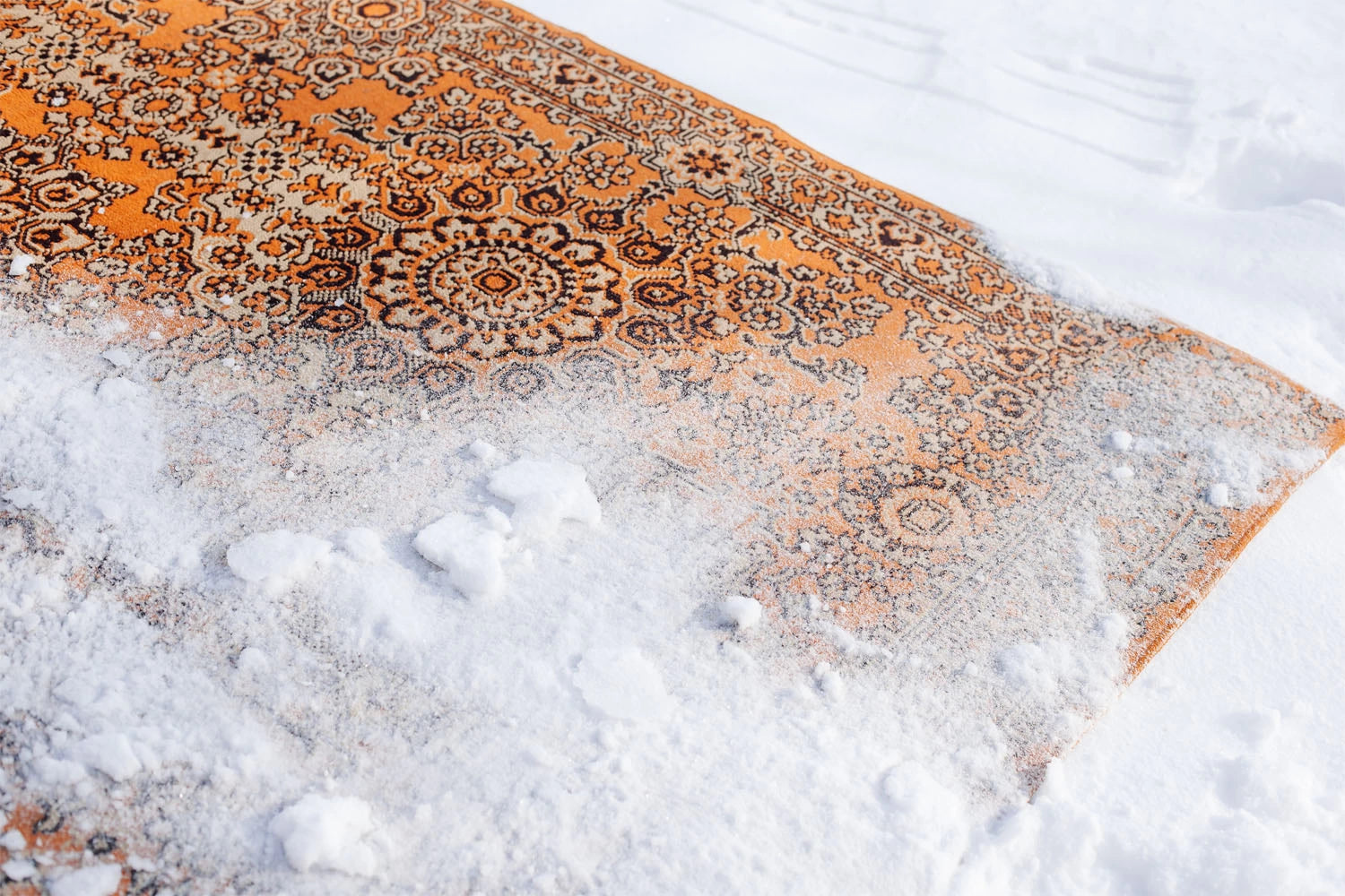 Applying Baking Soda on Rug to Neutralize Odor