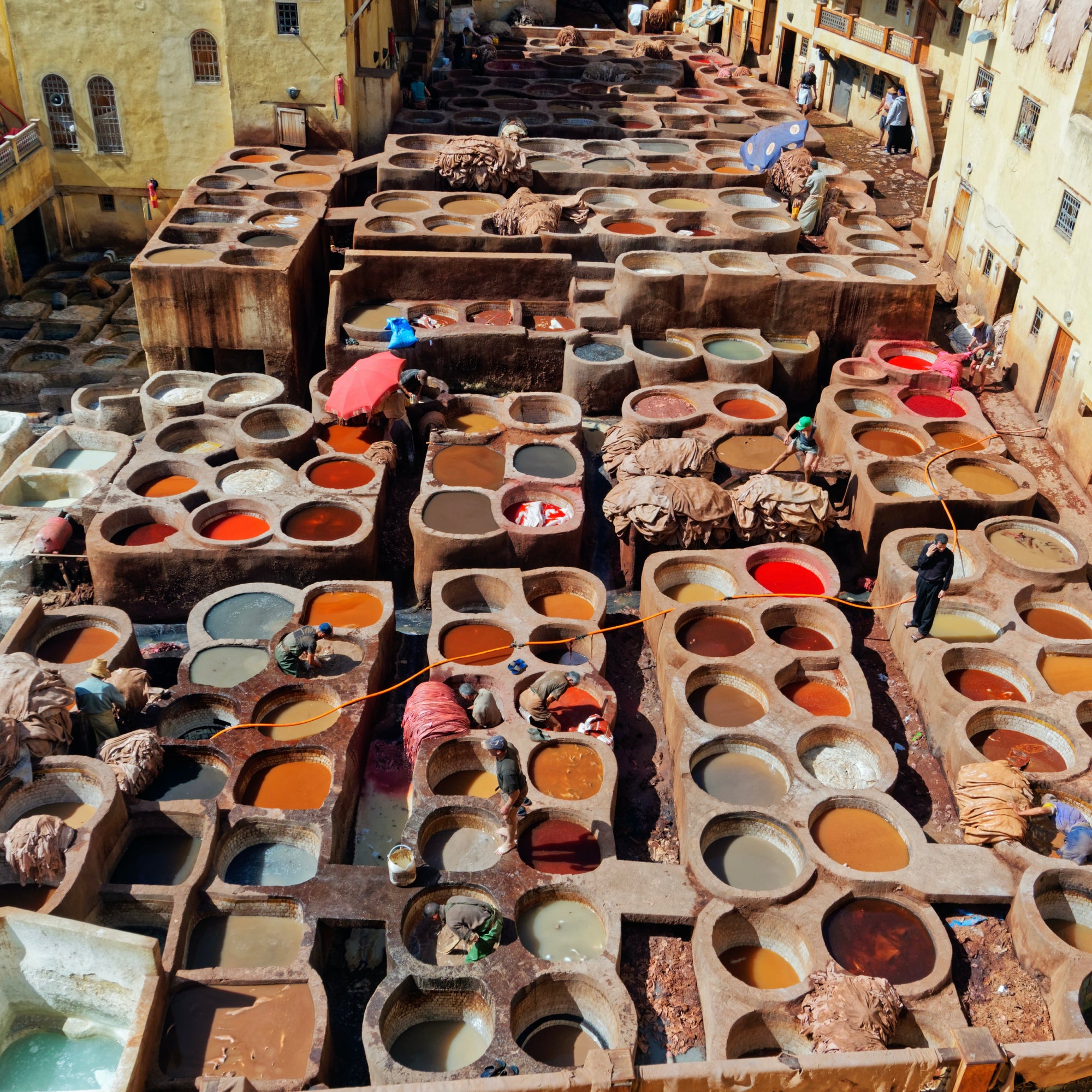 Natural Dye Process for Rug Making