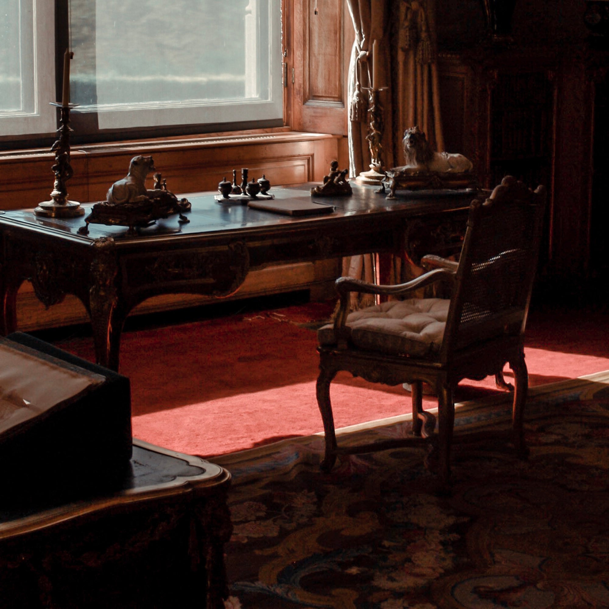 Elegant Rug in Executive Office