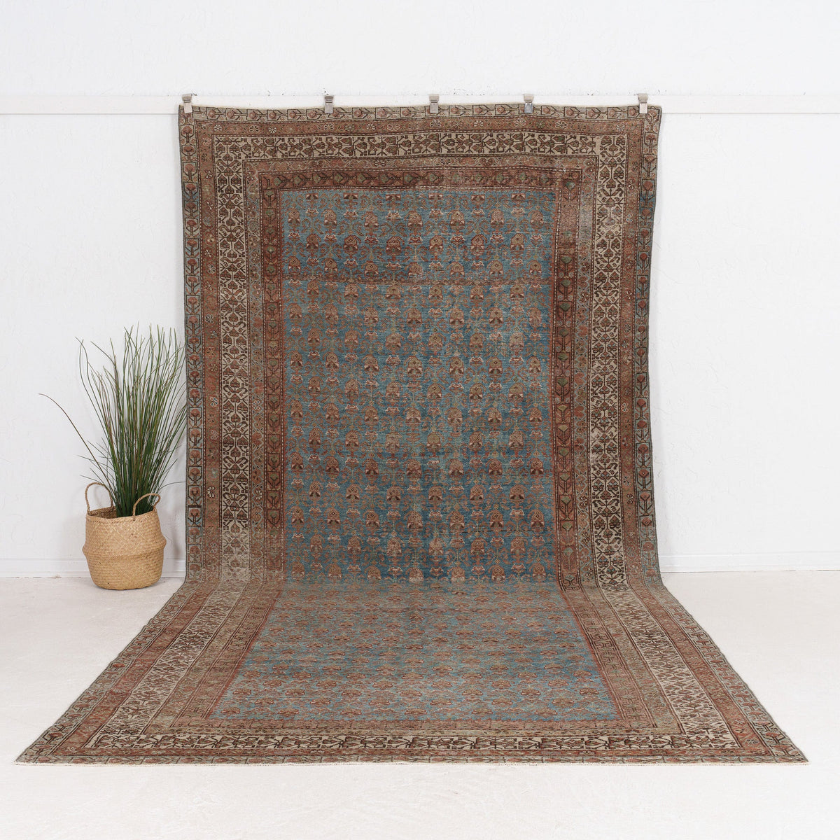 Caeliaria - Vintage Persian Area Rug