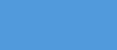 Blue Area Rugs by Kuden Rugs