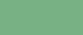Green Area Rugs by Kuden Rugs