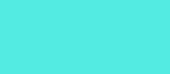 Turquoise Area Rugs by Kuden Rugs