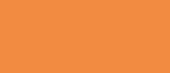 Orange Area Rugs by Kuden Rugs
