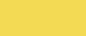 Yellow Area Rugs by Kuden Rugs