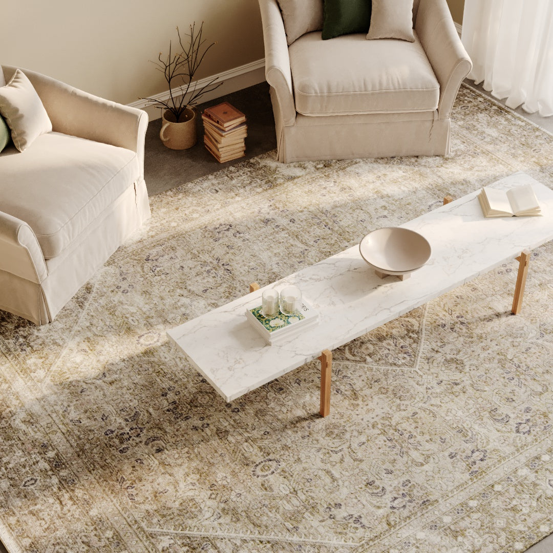 gray Rug on a gray living room