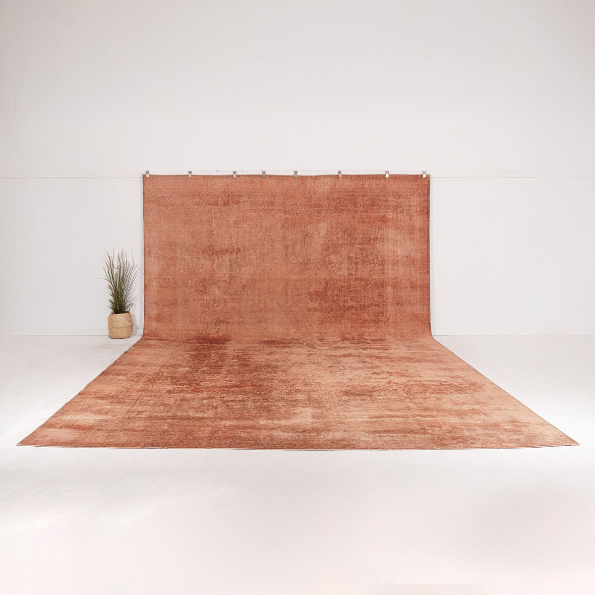 Gaerisa - Vintage Indian Area Rug