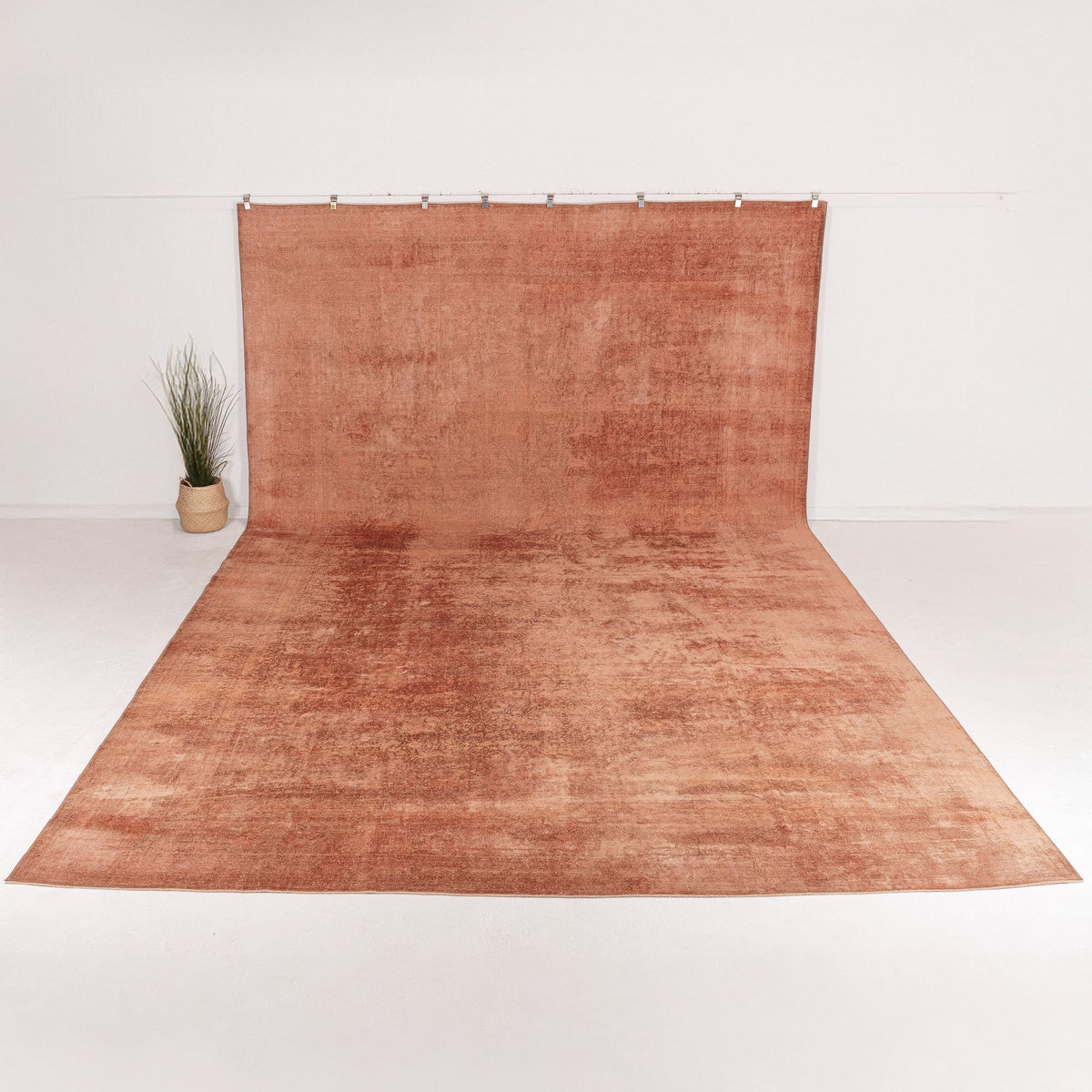 Gaerisa - Vintage Indian Area Rug