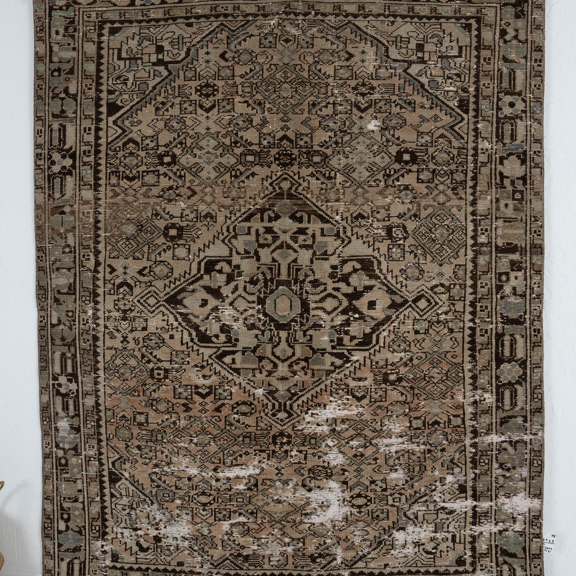 Cameryn - Living Room Rug, Premium Handmade Craft