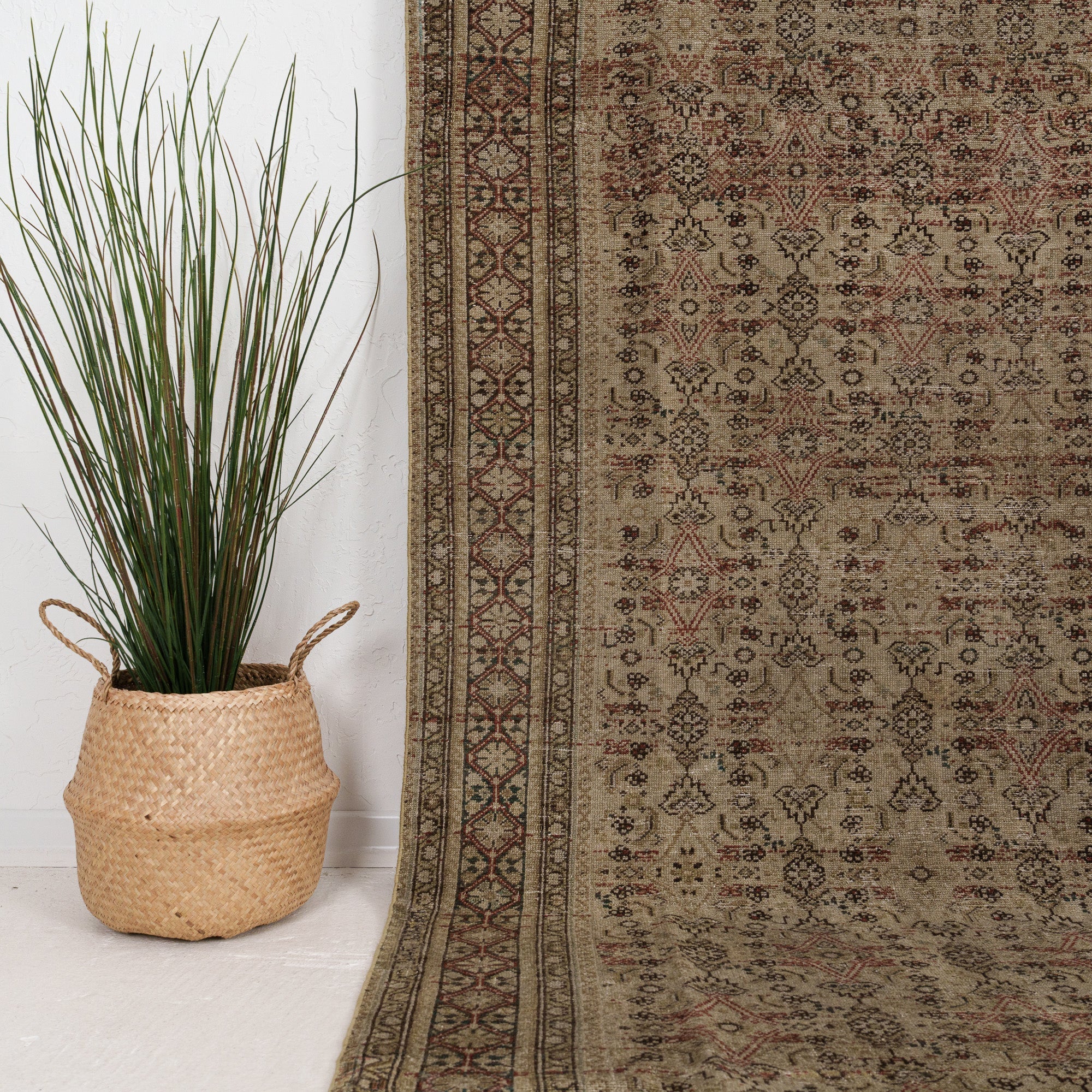 Beige and Brown Area Wool Rug