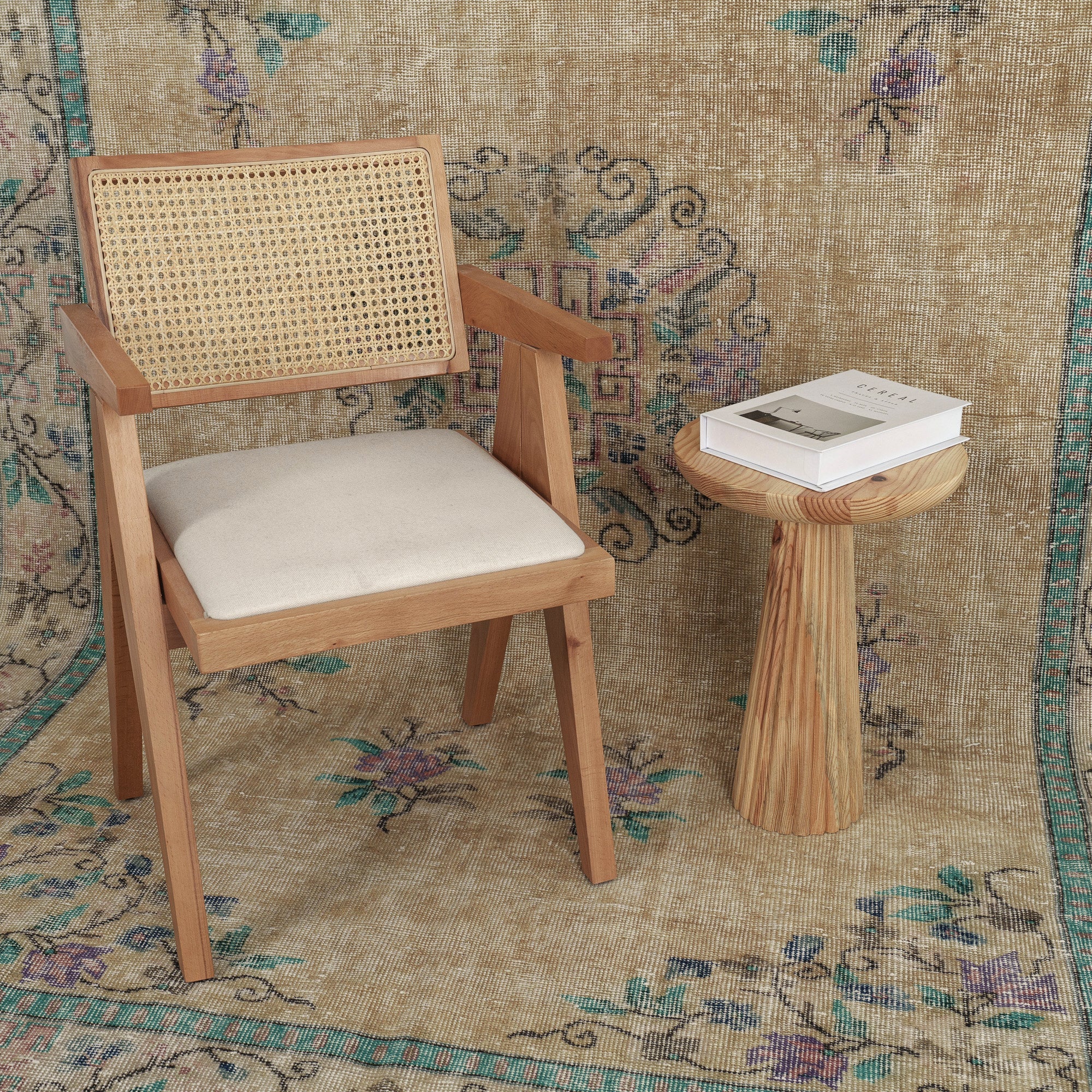 Vintage beige 6x10 area rug - adds charm to the living room, bedroom, entryway, office, kitchen & dining