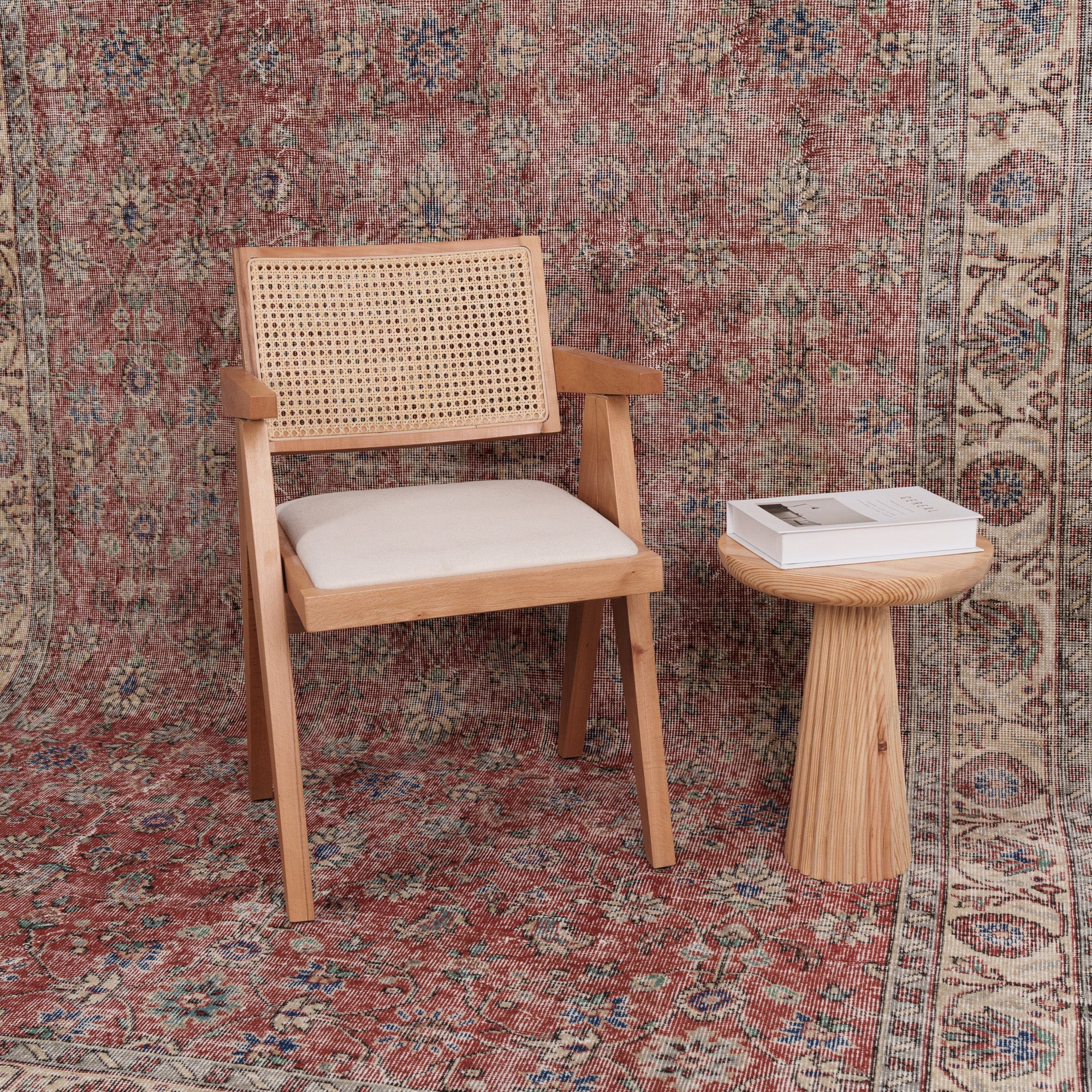 Anatolian Beige Area Rug