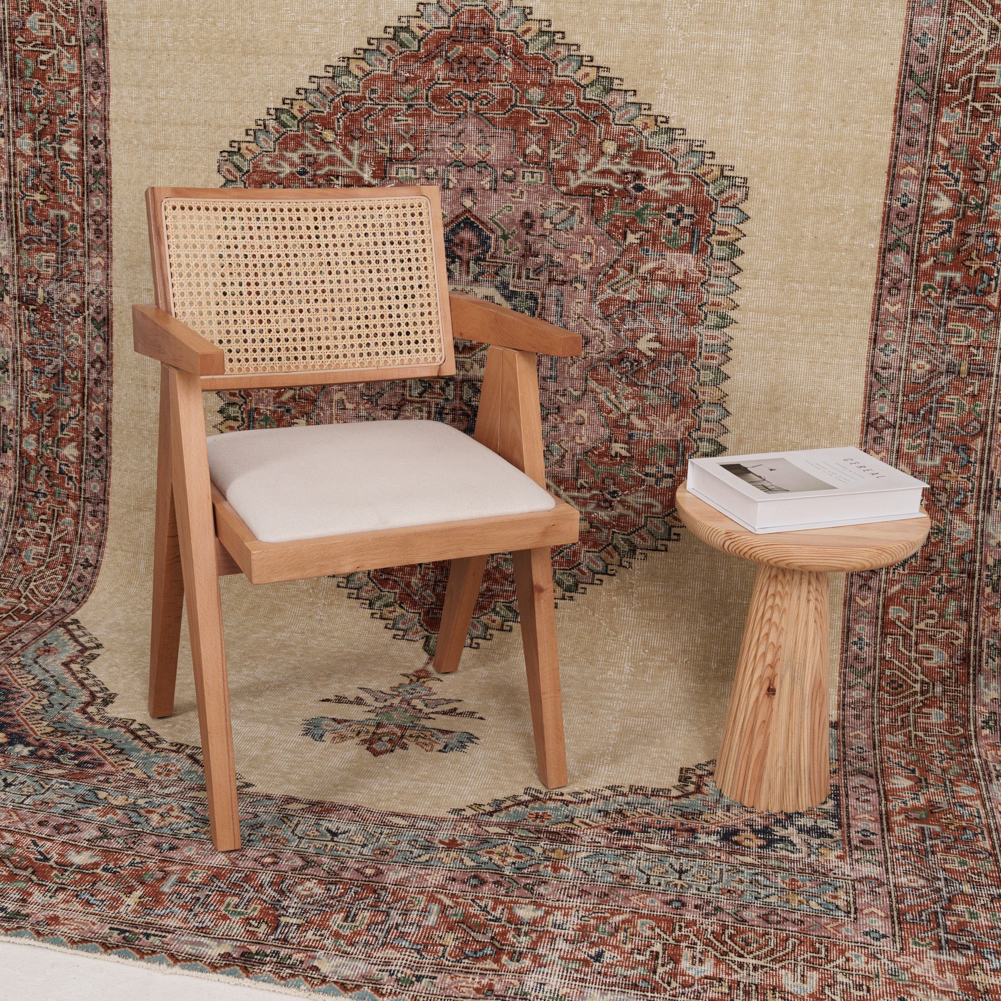 Anatolian Red Area Rug