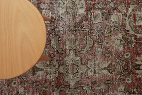 Caisie - Vintage Persian Area Rug
