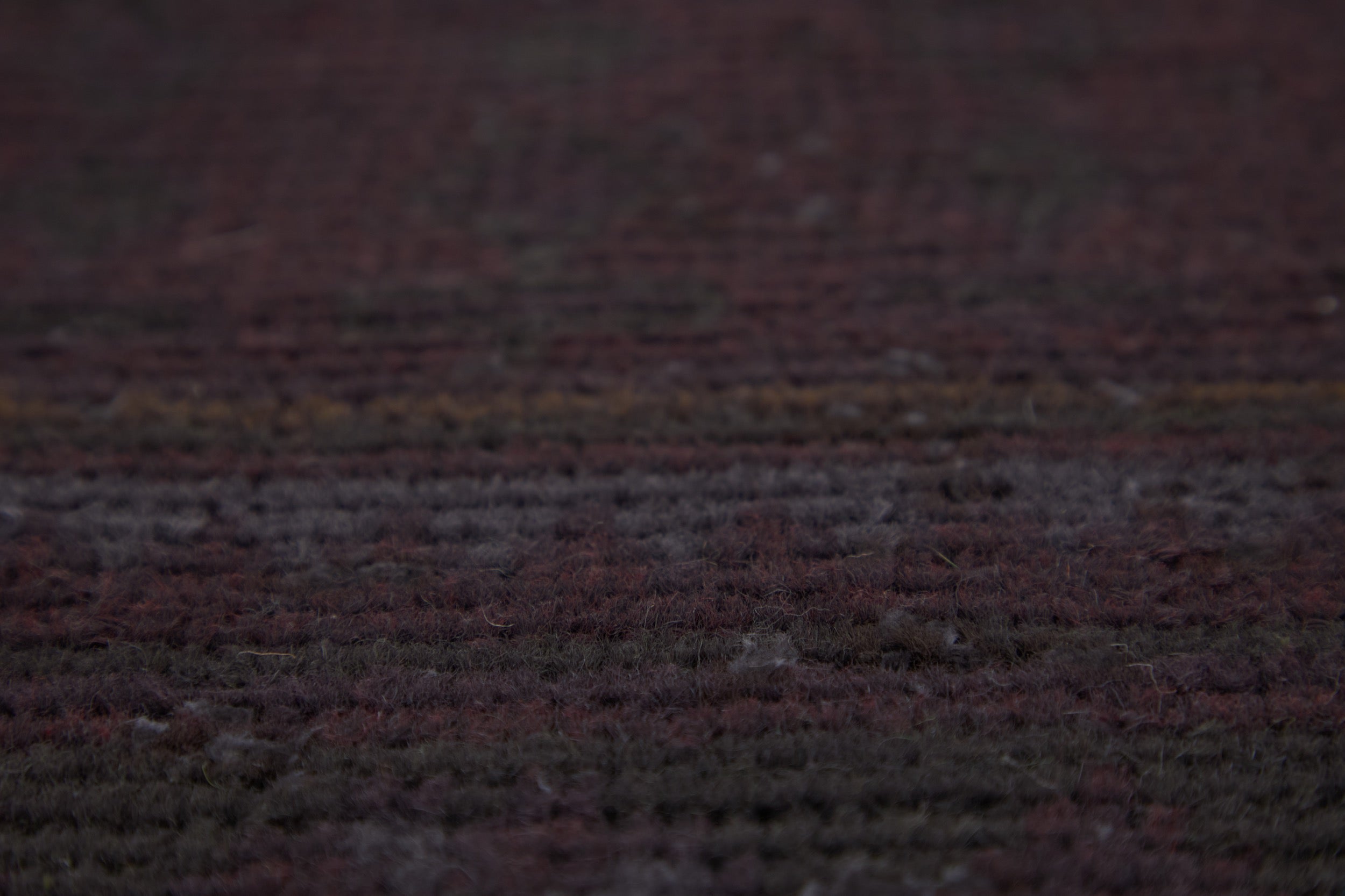 Nakeia | Monochrome Majesty | Luxurious Runner Carpet | Kuden Rugs