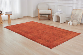 The Nellie Collection | Vintage Area Rug Sophistication | Kuden Rugs