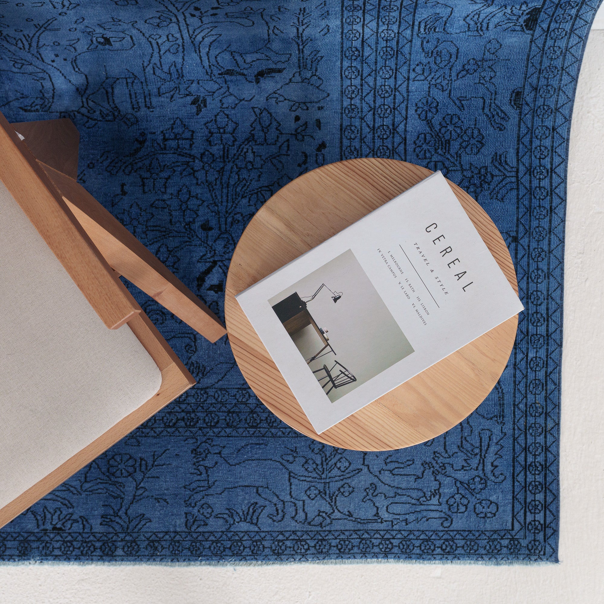 Gaerisella - Vintage Indian Area Rug