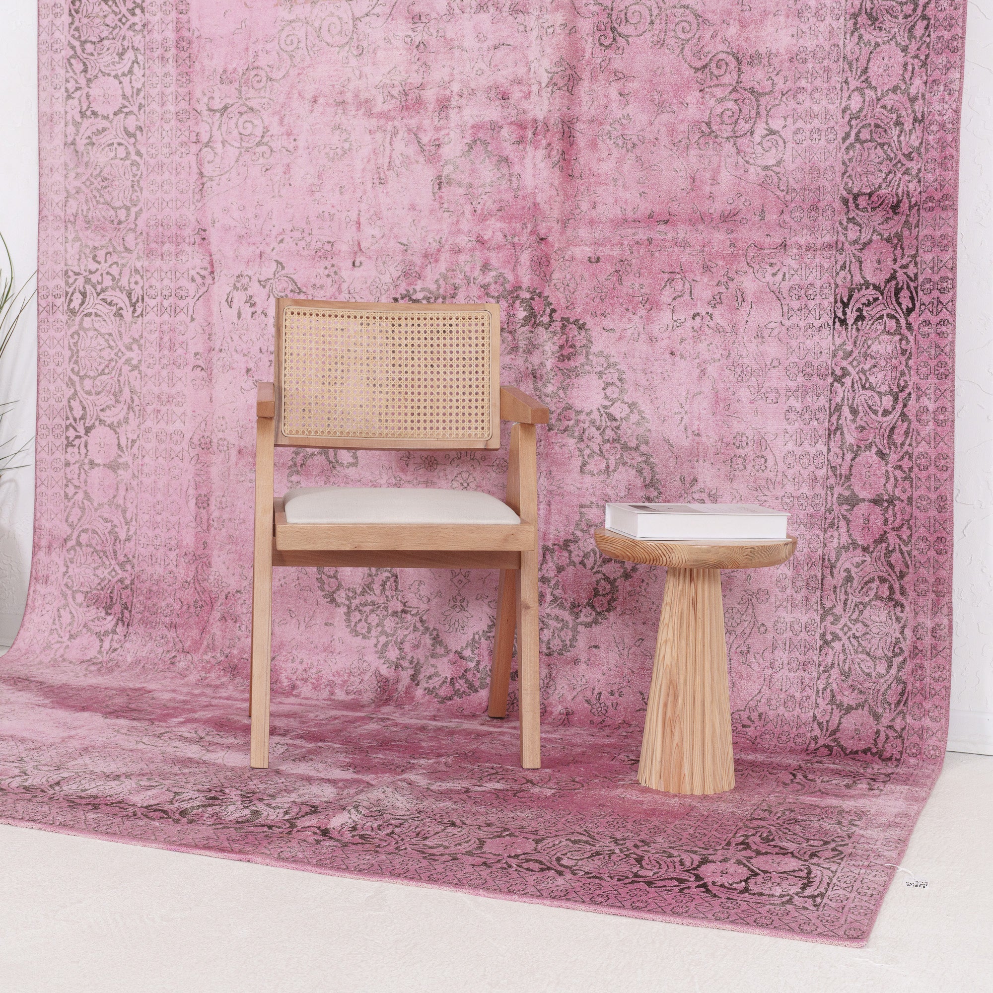 Haelia - Vintage Indian Area Rug