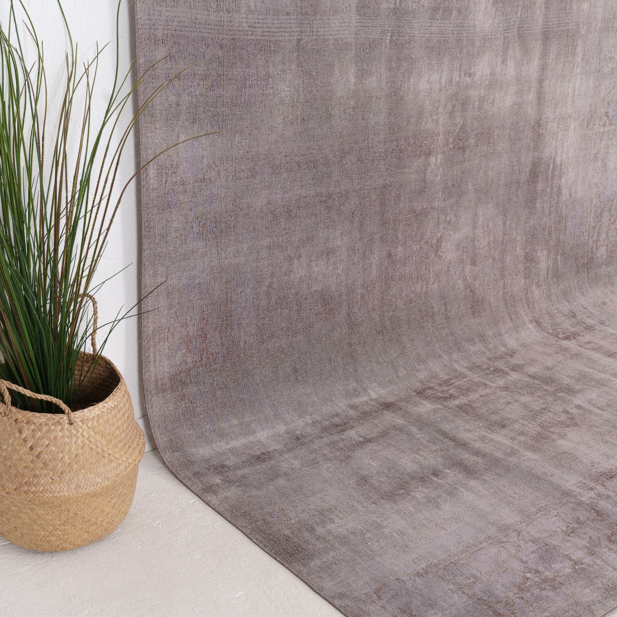 Gaerisia - Vintage Indian Area Rug