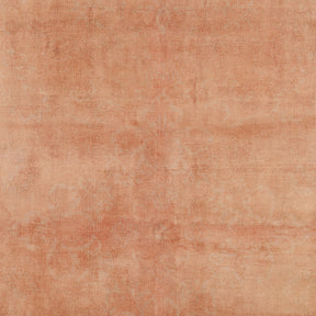 Gaerisess - Vintage Indian Area Rug