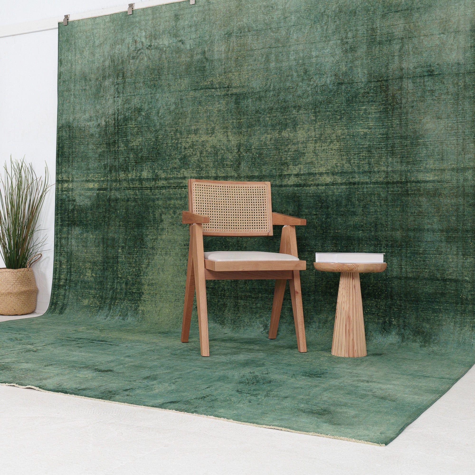 Faelara - Vintage Indian Area Rug