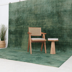 Faelara - Vintage Indian Area Rug