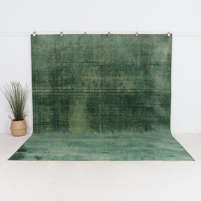 Faelara - Vintage Indian Area Rug