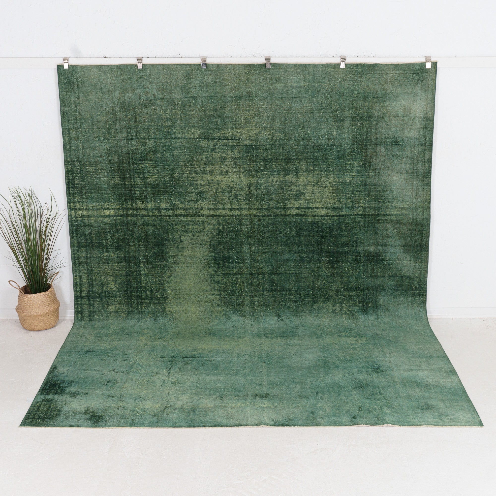 Faelara - Vintage Indian Area Rug