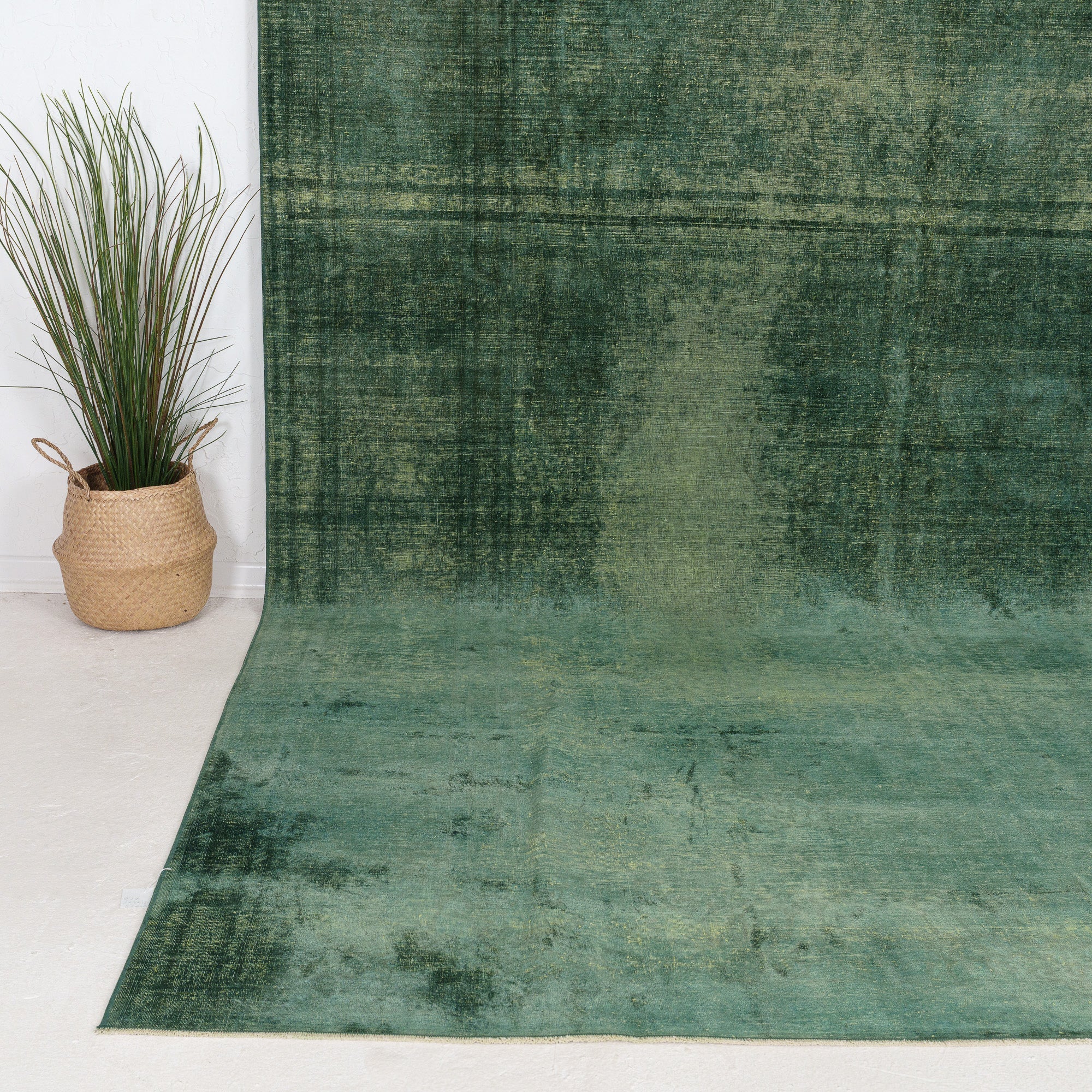 Faelara - Vintage Indian Area Rug