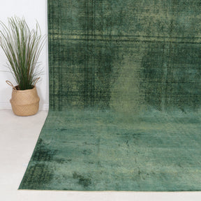 Faelara - Vintage Indian Area Rug