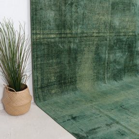 Faelara - Vintage Indian Area Rug