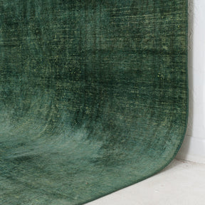 Faelara - Vintage Indian Area Rug