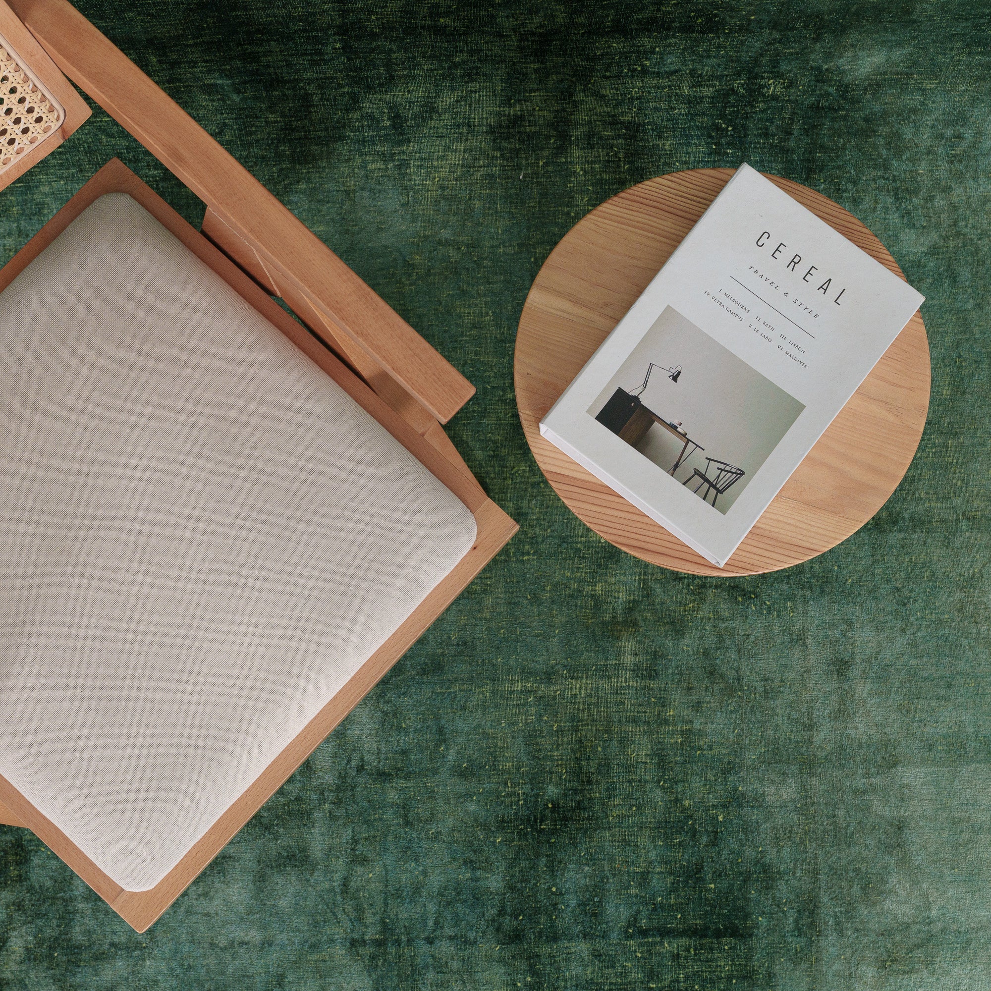 Faelara - Vintage Indian Area Rug