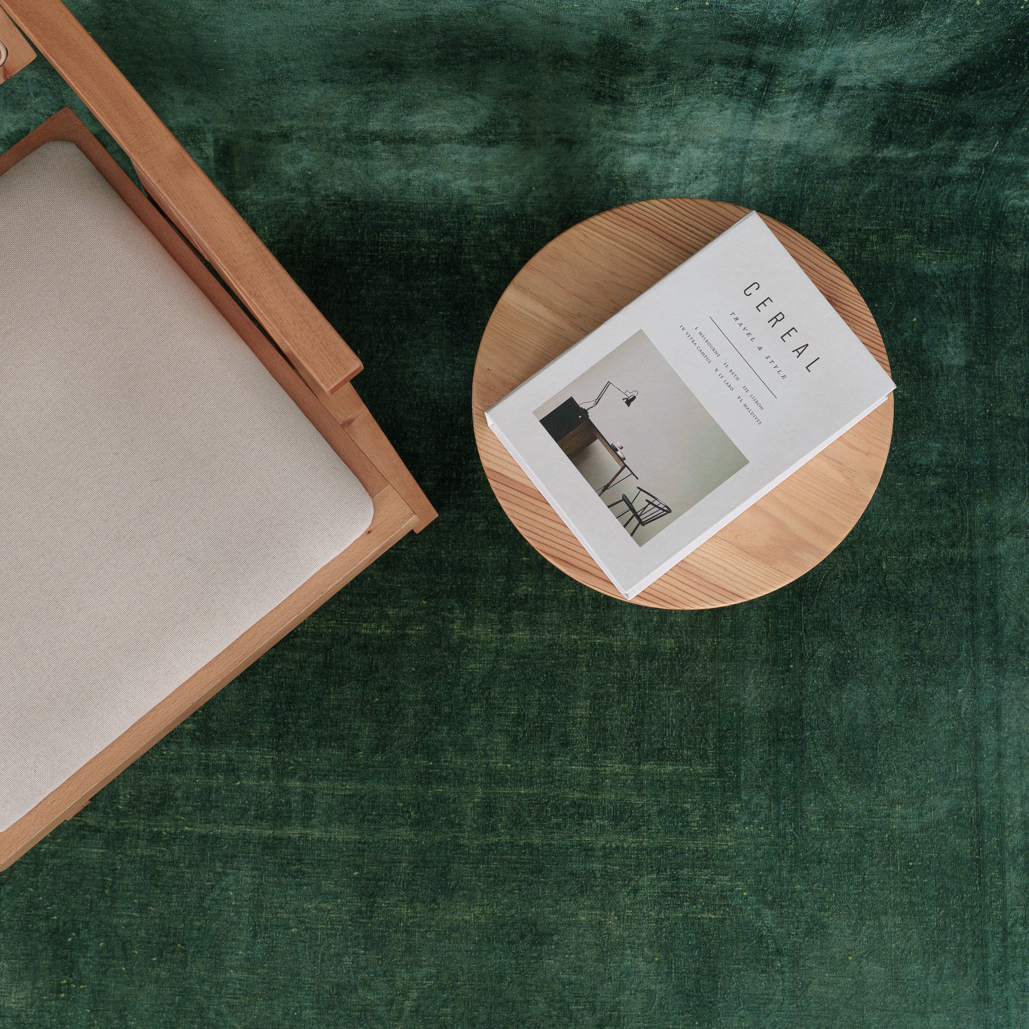 Faelis - Vintage Indian Area Rug