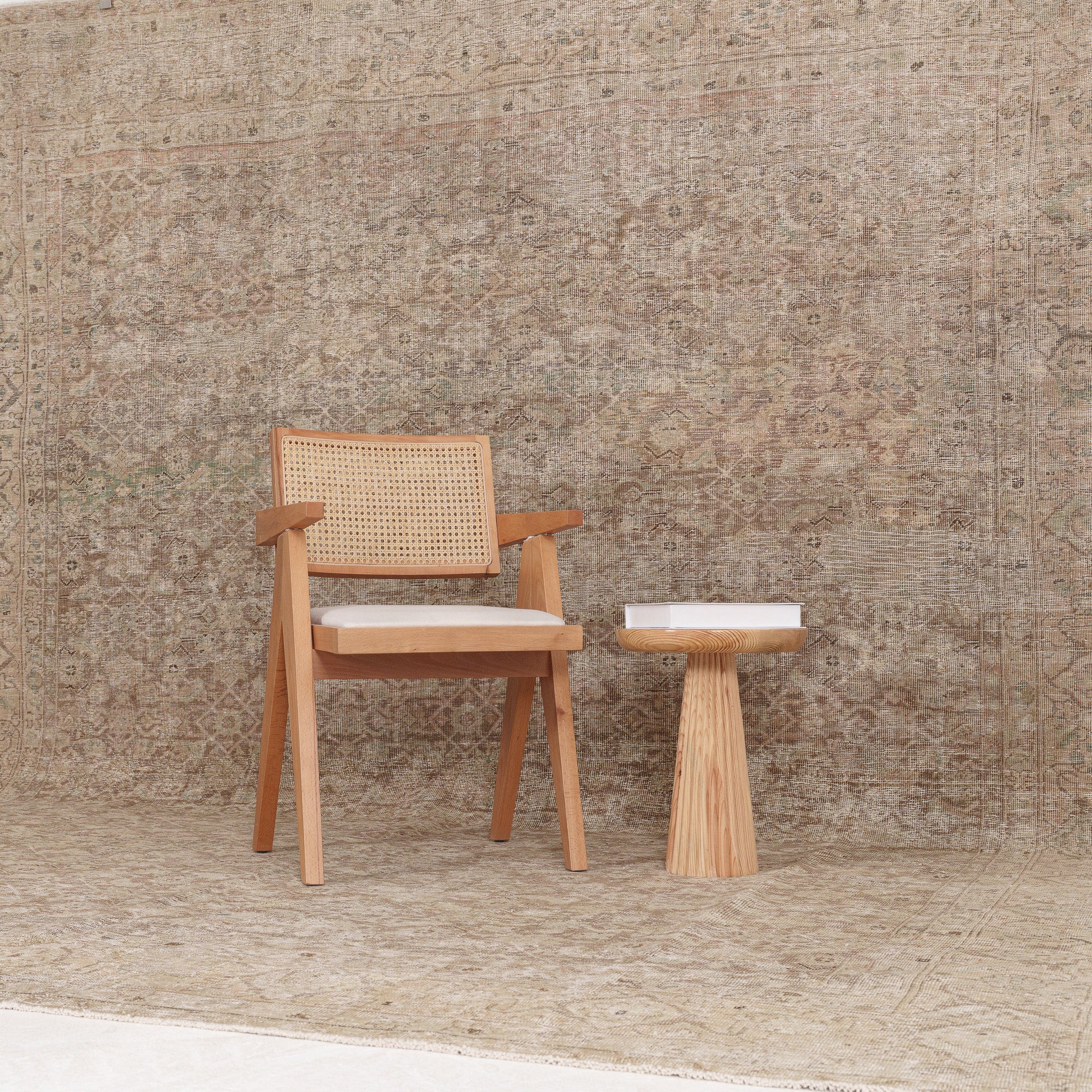 Elania - Vintage Persian Area Rug