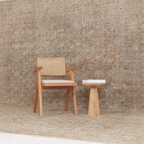 Elania - Vintage Persian Area Rug