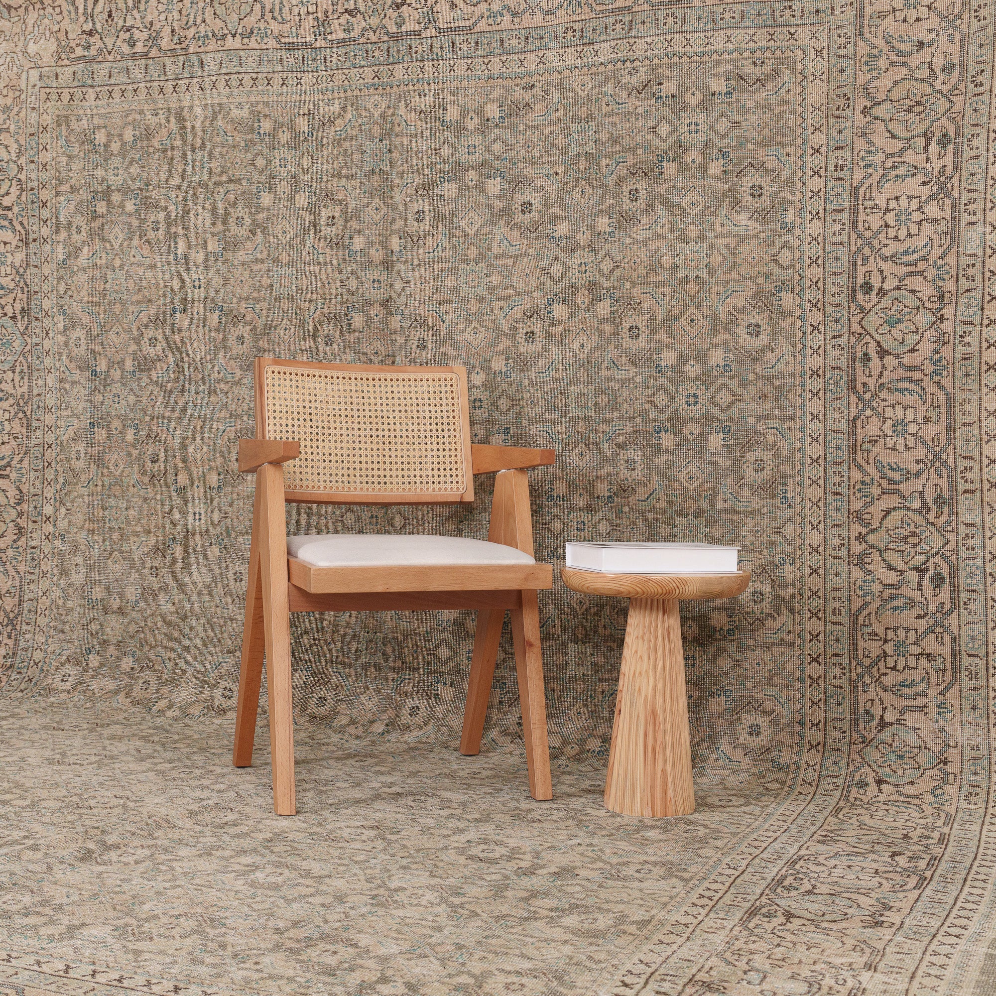 Daevena - Vintage Persian Area Rug