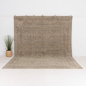 Daevena - Vintage Persian Area Rug