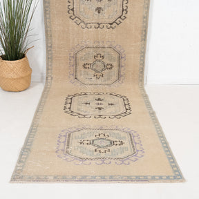 3x11 Persian Rug