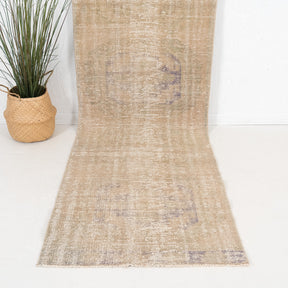 3x11 Persian Rug