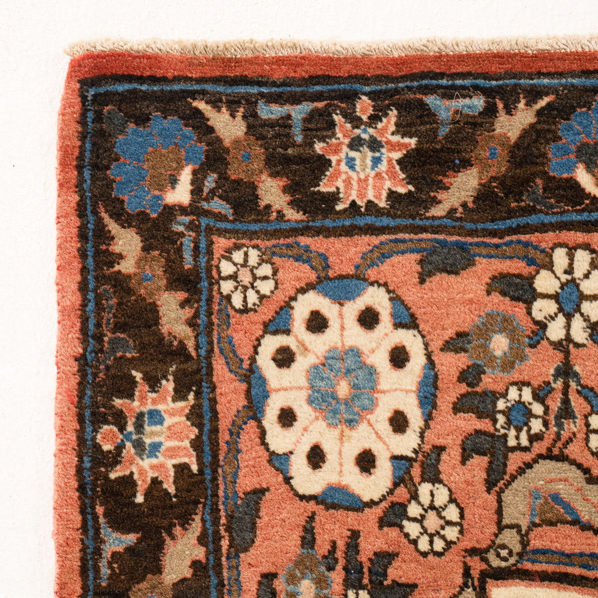 Allover 7x11 Area Rug