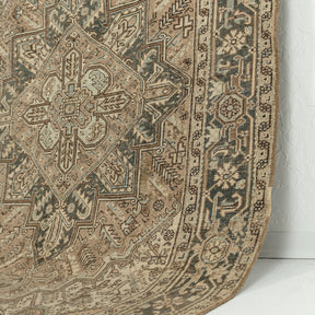 Authentic 6x9 area rug from persian, in subtle brown tones