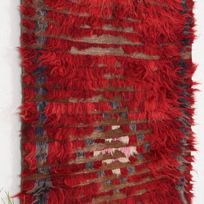 Red and Blue Area Wool Rug