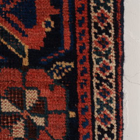 Allover 5x7 Area Rug