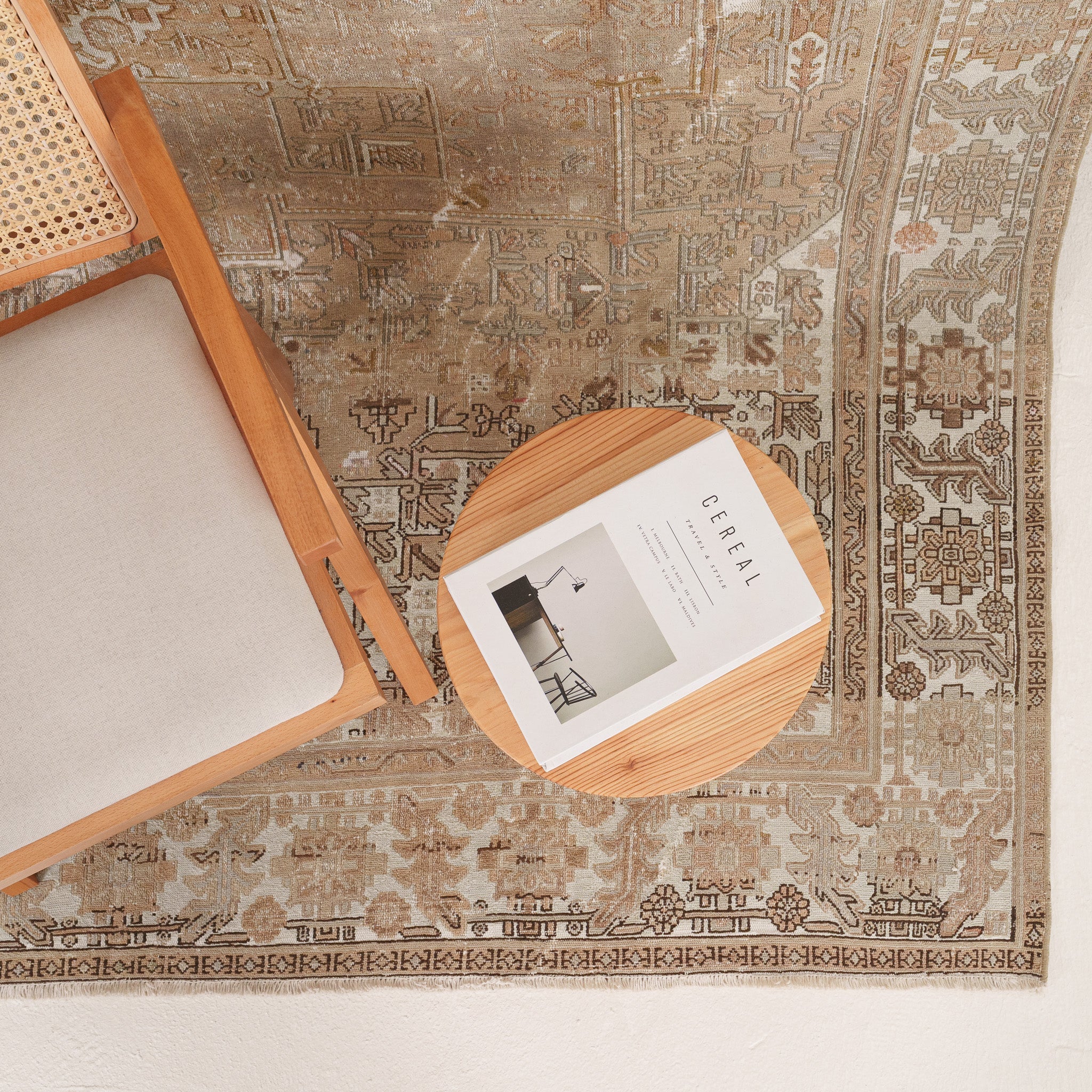Antiquewashed Beige Area Rug