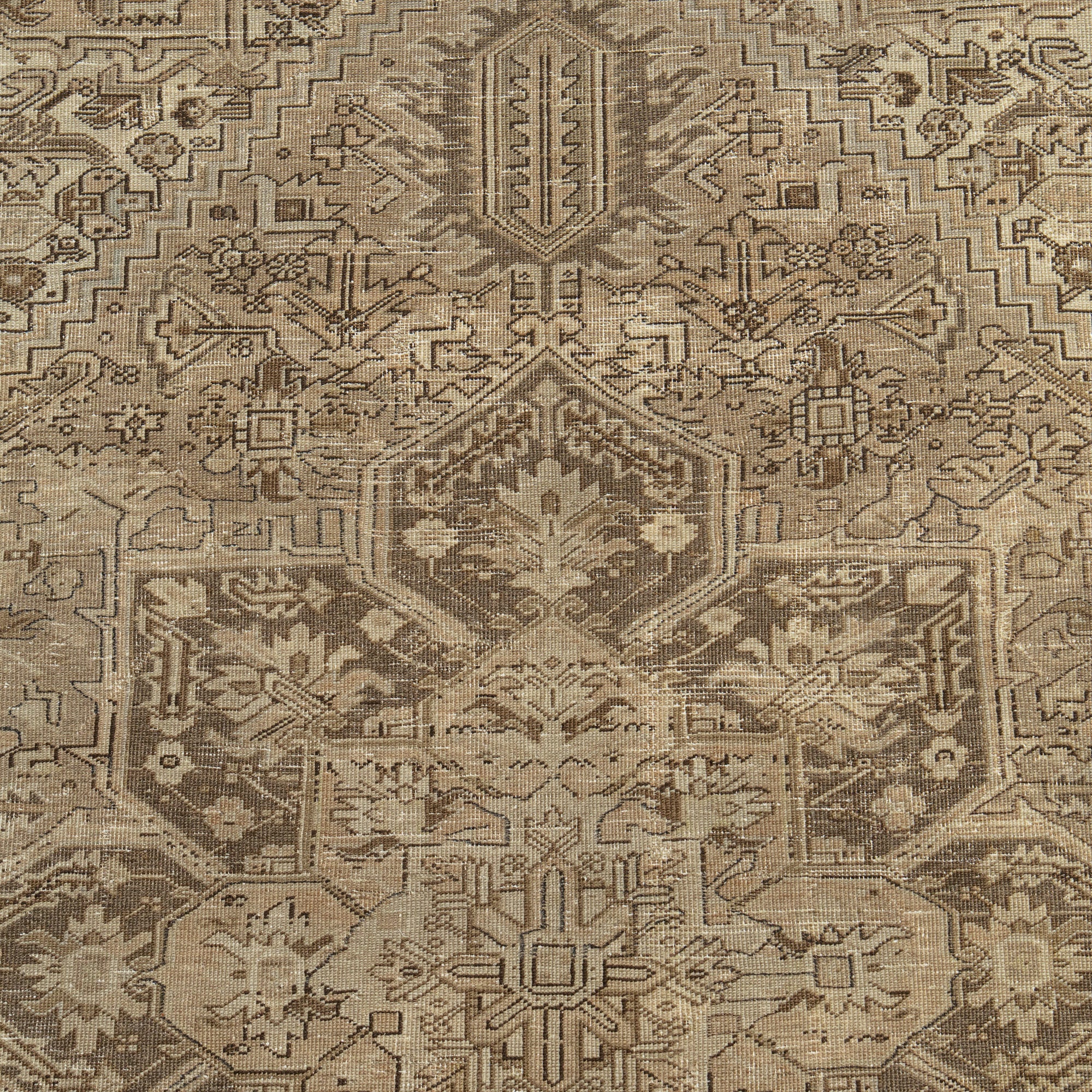 Eustacia - Oriental Rug, Handcrafted for Luxury Living