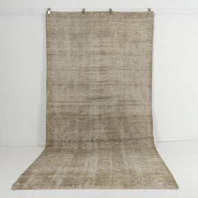 beige vintage 6x11 area rug - perfect for the living room, bedroom, office, entryway, kitchen